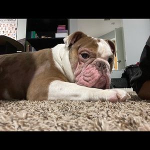 Meet your Posher, Candace